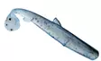Orka Small Fish Paddle Tail 5cm - Lappfiskarjiggar - 2706202300001 - 29