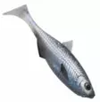 Patriot Baitfish 8cm Clear Water Mix - Lappfiskarjiggar - 6417512539371 - 5