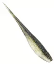 Rapala Crushcity The Jerk 3.75 - Lappfiskarjiggar - 1909202411 - 4