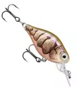 Rapala X-light Crank Midrunner 3,5cm - Vobbler under 6 cm - 34004001 - 9