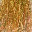 Salar Synthetic Series Angel Hair HD - Flash - 40550100001 - 19