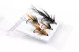 Salmon Flies Selection - Finland Special - Flugsortiment - 8859202531391 - 1