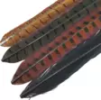 Soldarini Pheasant Tail - Övriga fjädrar - 2025011741 - 1