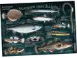 Suomen merikaloja - Kalatarrat - Trycksaker - 6430048500691 - 1