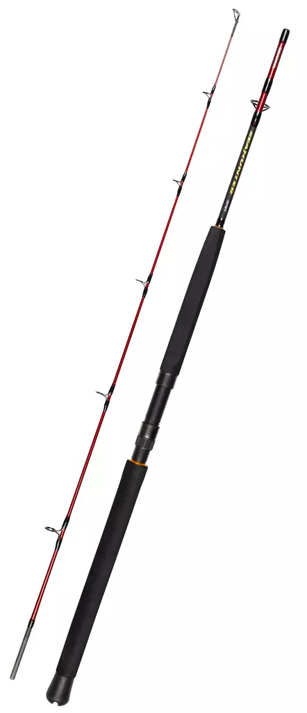Daiwa Seahunter Spin - Havsfiskespön för djuphavsfiske - 5055545246401 - 1