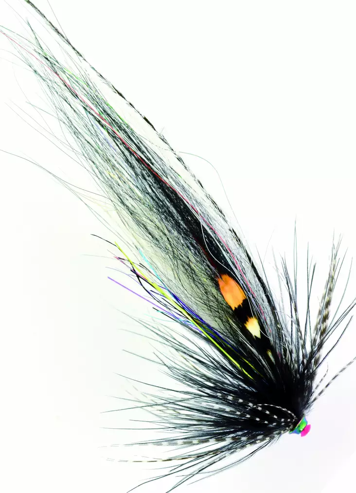 Frödin Flies TTT NoBody Series Zebra - Tubflugor - 7340154606851 - 1