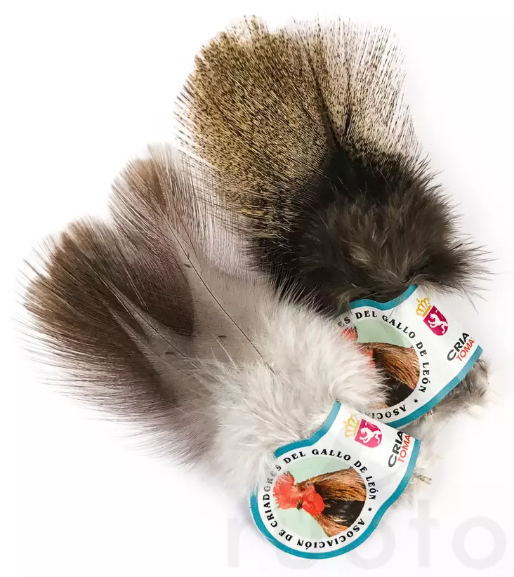 Hareline Coq De Leon - Övriga fjädrar - 40450200501 - 1