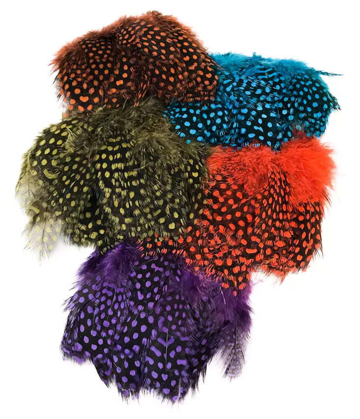 Strung Guinea Feathers - Övriga fjädrar - 40400400041 - 1