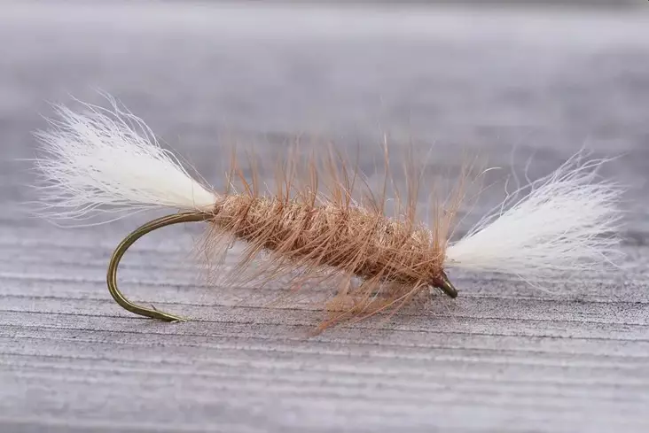 Pompero Light Brown - Övriga laxflugor - 8859202531551 - 1