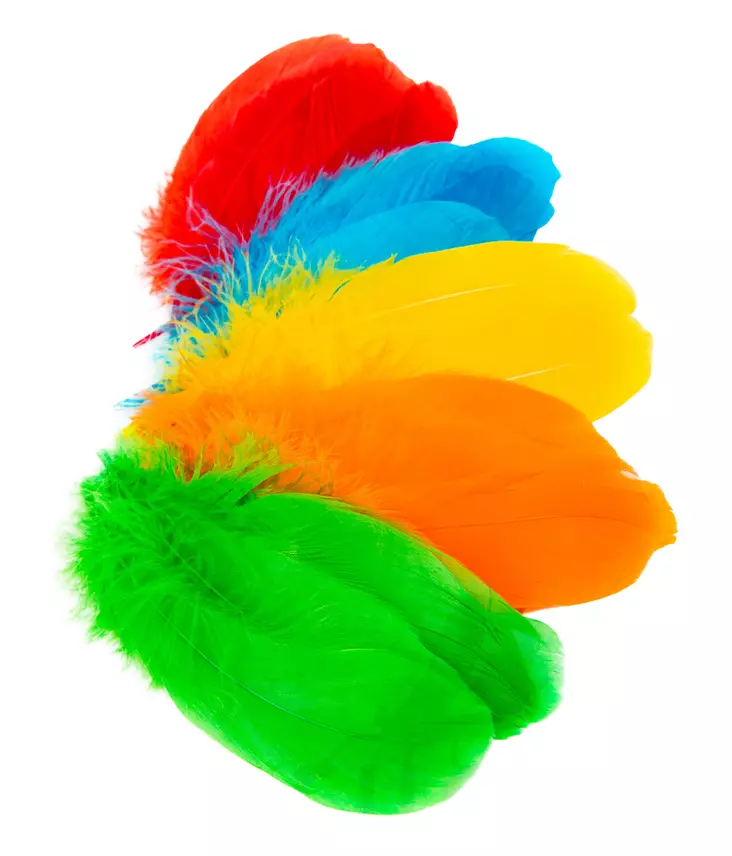 Veniard Goose Shoulder - Klassiska fjädrar - 40450200001 - 1