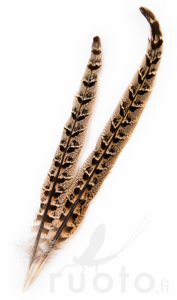 Hen Pheasant Centre Tails - Stjärter - 5056304604616 - 1