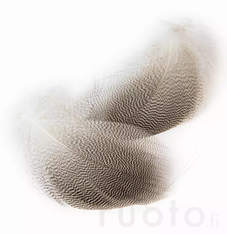 Veniard Mallard Drake Grey Flank - Klassiska fjädrar - 5056304602261 - 1