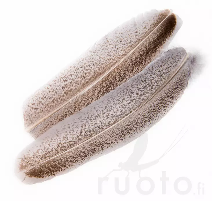 Oak Mottled Turkey Wing Quills - Klassiska fjädrar - 5056304606122 - 1