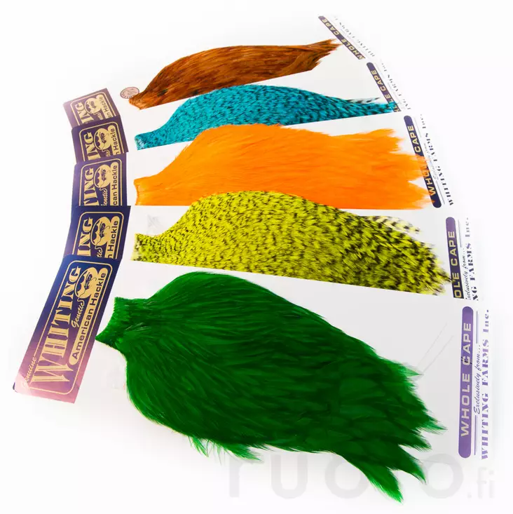 Whiting American Rooster Cape - Övriga tuppnackar och -saddlar - 40350200001 - 1