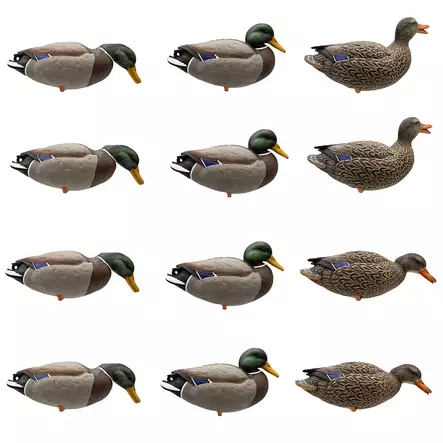 Final Approach Live Full Body Mallards 12pcs - Lockande bilder / -diagram - 071617045602 - 1
