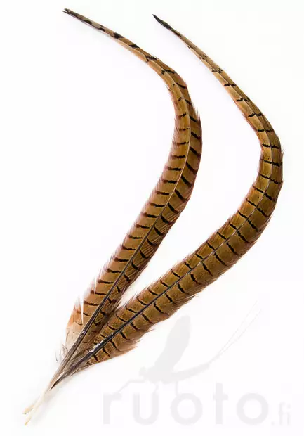 Veniard Cock Pheasant Centre Tails - Stjärter - 404503000022 - 1