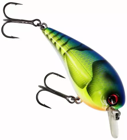 Westin BuzzBite Crankbait 6cm 13g - Wobblers - 154572 - 5