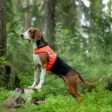 Finnero Ukko Jaktväst Röd/Gul - Hundjackor och -västar - 6438406007592 - 10
