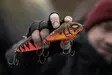 Daiwa Lazy Distance 11cm/67g - Klassisk jerkbaits - 405984501662 - 11