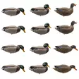 Final Approach Live Full Body Mallards 12pcs - Lockande bilder / -diagram - 071617045602 - 1