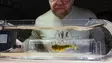 Flymen Fishing Co Fly Tester - Övriga verktyg - 7081385297462 - 10