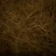 FTS CDC Dubbing 1g - Dubbing - 40600100012 - 8