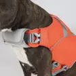 Hundra Dog Life Jacket - Hundjackor och -västar - 6438347048432 - 3