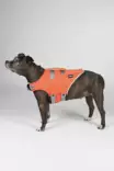 Hundra Dog Life Jacket - Hundjackor och -västar - 6438347048432 - 5