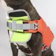 Hundra Dog Life Jacket - Hundjackor och -västar - 6438347048432 - 4