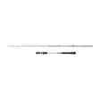 Penn Prevail III Light Jigging Cast 120g - Havsabborrspön & lätta havsspön - 031324007772 - 2