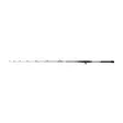 Penn Regiment IV Jigging Cast 5'6'' 300g - Jiggingspön - 031324065932 - 2