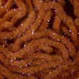 Soldarini Wormstasy UV Chenille - Chenille - 40300200262 - 13