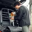 Thule Allax Double M Compact - Övriga hundprodukter - 197074757562 - 6