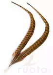 Veniard Cock Pheasant Centre Tails - Stjärter - 404503000022 - 1
