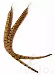 Veniard Cock Pheasant Centre Tails - Stjärter - 404503000022 - 2