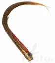 Golden Pheasant Complete Tail - Stjärter - 40450100022 - 3