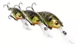 Westin BuzzBite Crankbait 6cm 10g - Wobblers - 5707549436222 - 1