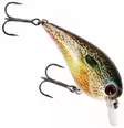 Westin BuzzBite Crankbait 6cm 13g - Wobblers - 154572 - 11