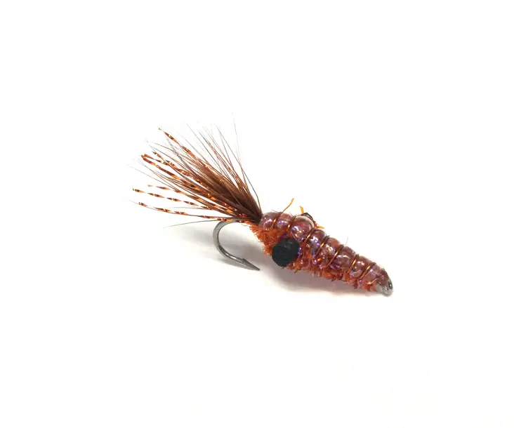 Copper Shrimp - Kräfträkor - 7033840463752 - 1
