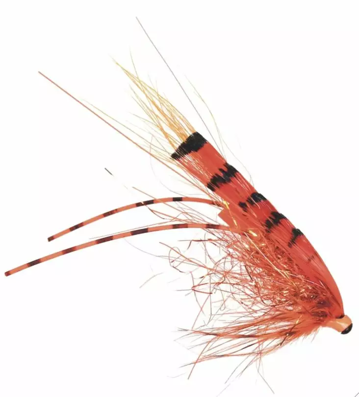 Frödin Flies Micro Series G.P. Special - Tubflugor - 7340154606462 - 1