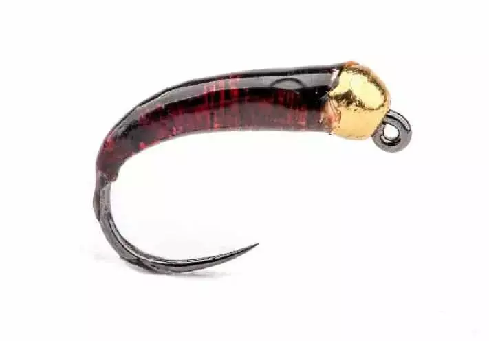 Glue Larva Brown Gold Bead - Våtflugor - 8859202512 - 1