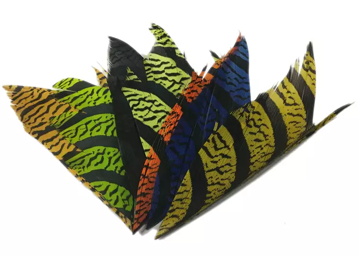 Silvergrey Lady Amherst Tail Piece - Stjärter - 4045010002 - 1