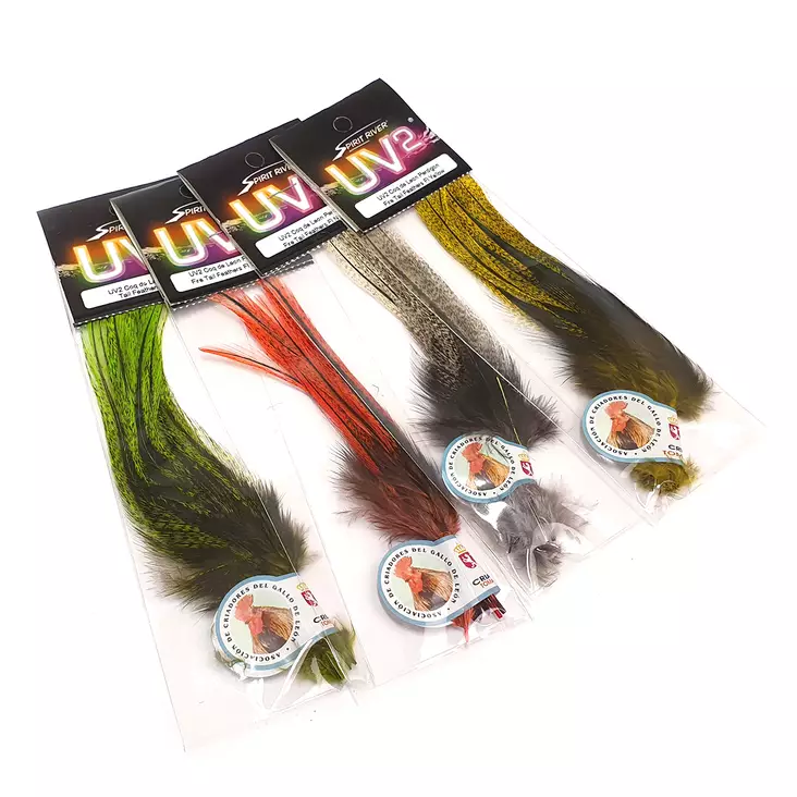 UV2 Coq De Leon Perdigon Fire Tail Feath - Övriga fjädrar - 40450200502 - 1