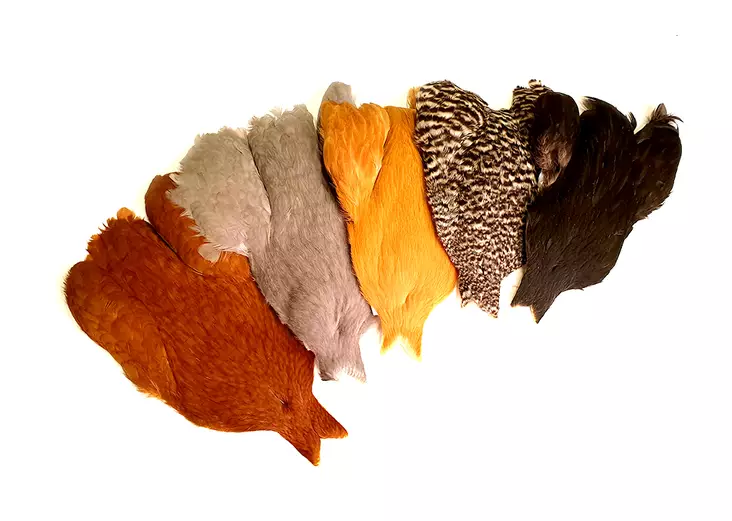 Whiting 4B's Hen Cape - Övriga tuppnackar och -saddlar - 748012 - 1