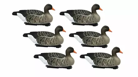 Final Approach Greylag Goose Floaters 6pcs - Lockande bilder / -diagram - 728614276603 - 1