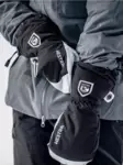 Hestra Army Leather Heli Ski Mitten - Handskar - 7332540615073 - 3