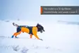 Non-stop Dogwear Protector Snow Male - Hundjackor och -västar - 7071652025003 - 9