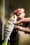 Rapala Screw Diver System Weights - Vikter för kastfiske - 022677350783 - 4