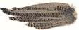 Hen Pheasant Complete Tail - Stjärter - 5056304604623 - 1