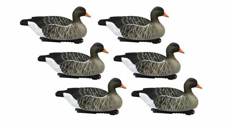 Final Approach Greylag Goose Floaters 6pcs - Lockande bilder / -diagram - 728614276603 - 1